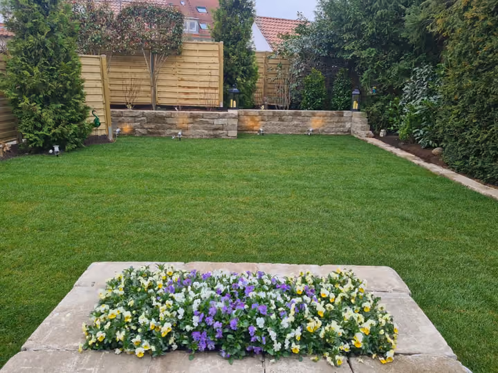 Frisch gemähter Rasen mit bunt bepflanztem Beet und Natursteinmauer im Hintergrund