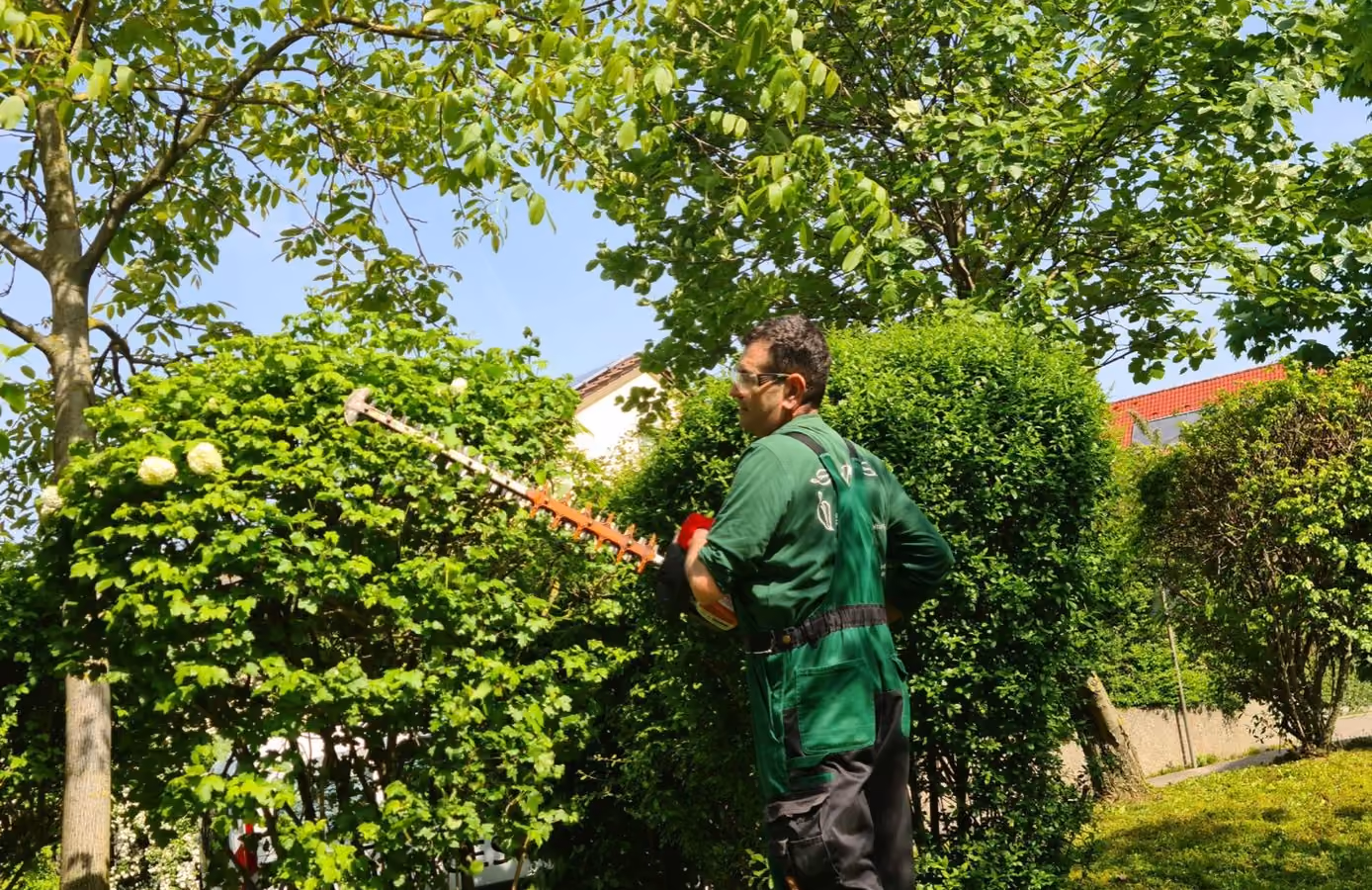 Mitarbeiter beim Heckenschnitt mit Motorheckenschere im Garten