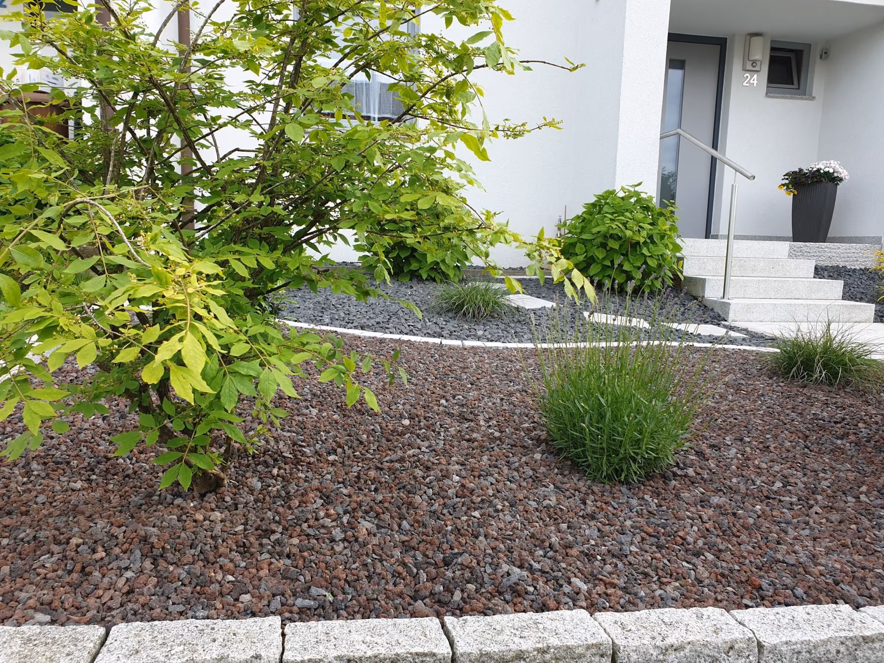 Pflegeleichter Vorgarten mit Kiesbeet, Ziergräsern und Formgehölzen