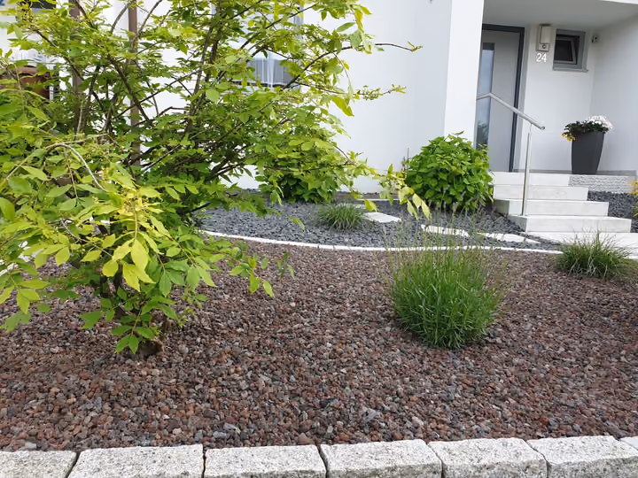 Pflegeleichter Vorgarten mit Kiesbeet, Ziergräsern und Formgehölzen