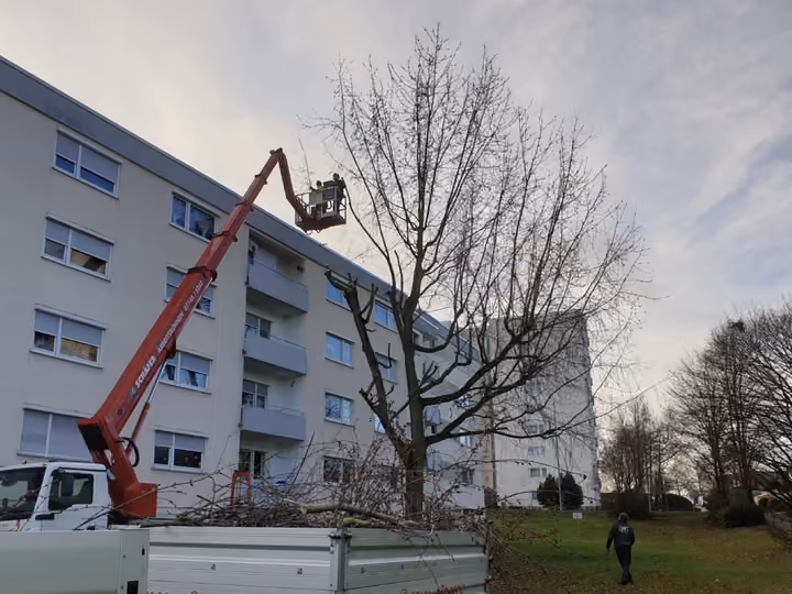 Baumpflegearbeiten mit Hebebühne an einem Mehrfamilienhaus