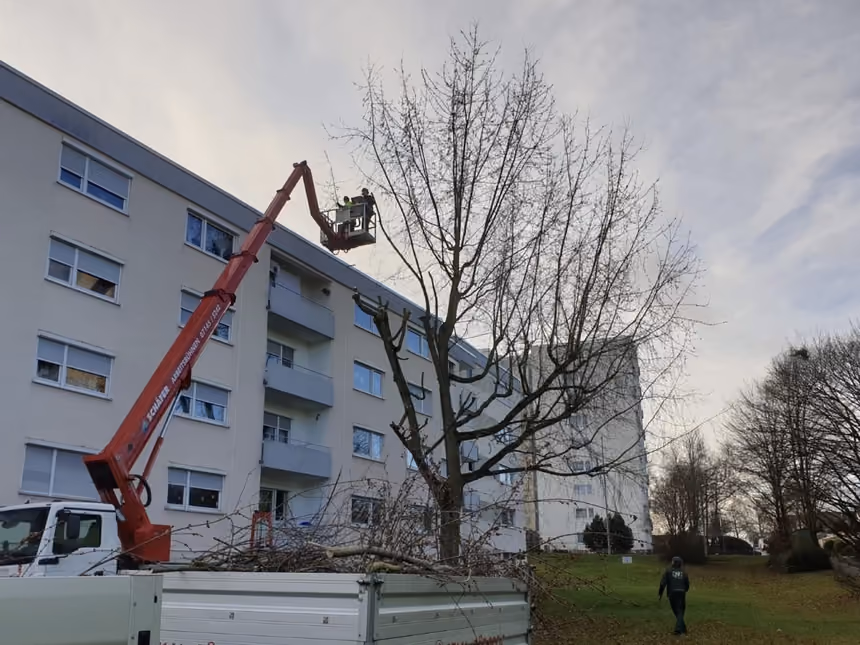 Baumpflegearbeiten mit Hebebühne an einem Mehrfamilienhaus