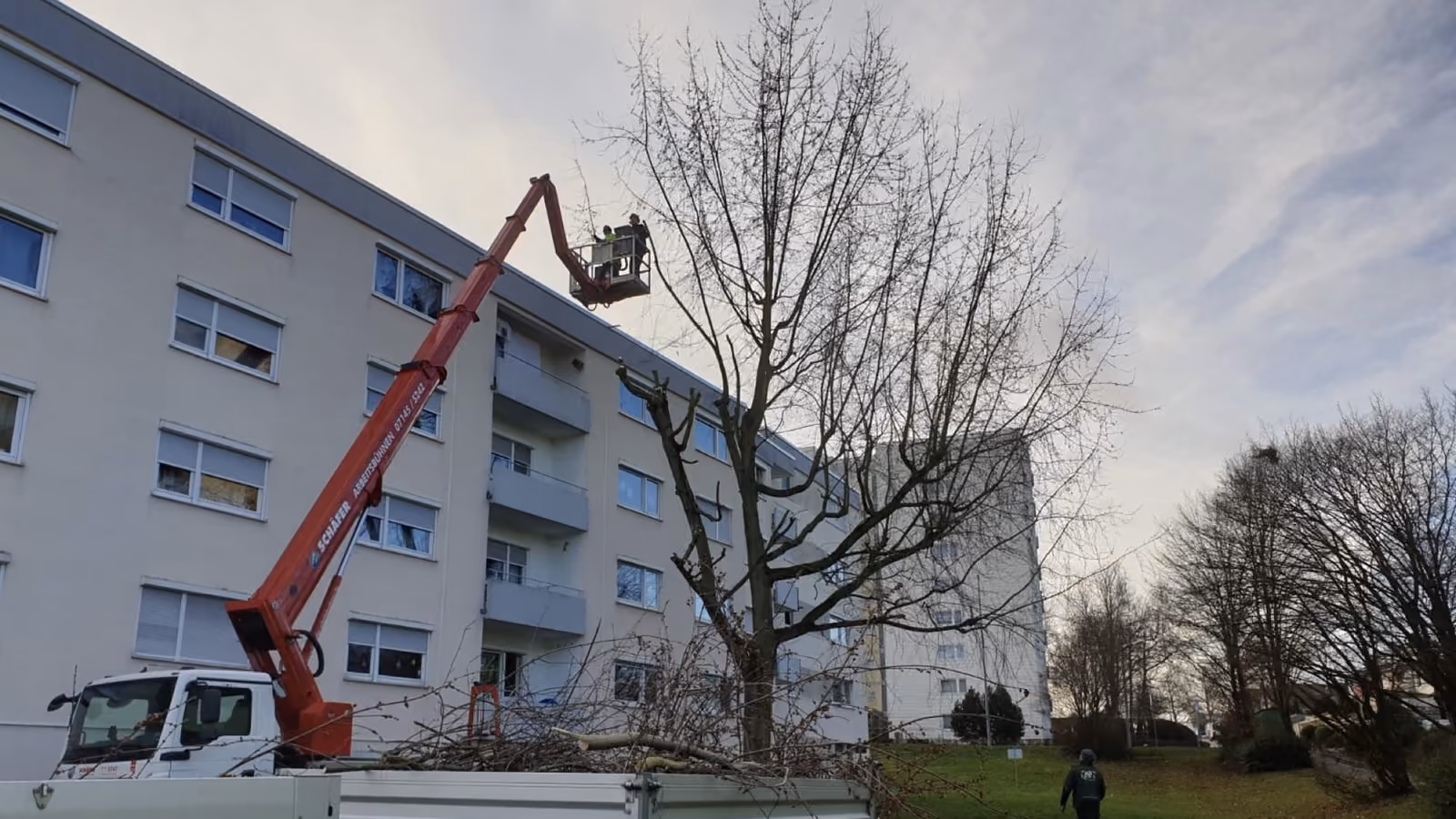 Baumpflegearbeiten mit Hebebühne an einem Mehrfamilienhaus