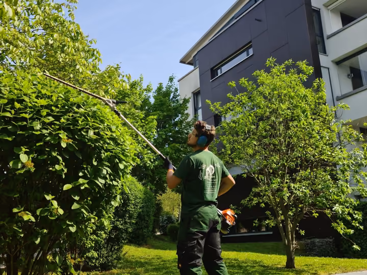 Mitarbeiter beim Rückschnitt eines Baumes mit Teleskopschere vor einem Wohngebäude