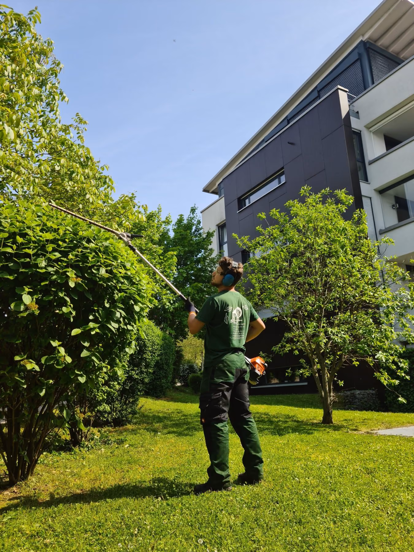 Mitarbeiter beim Rückschnitt eines Baumes mit Teleskopschere vor einem Wohngebäude
