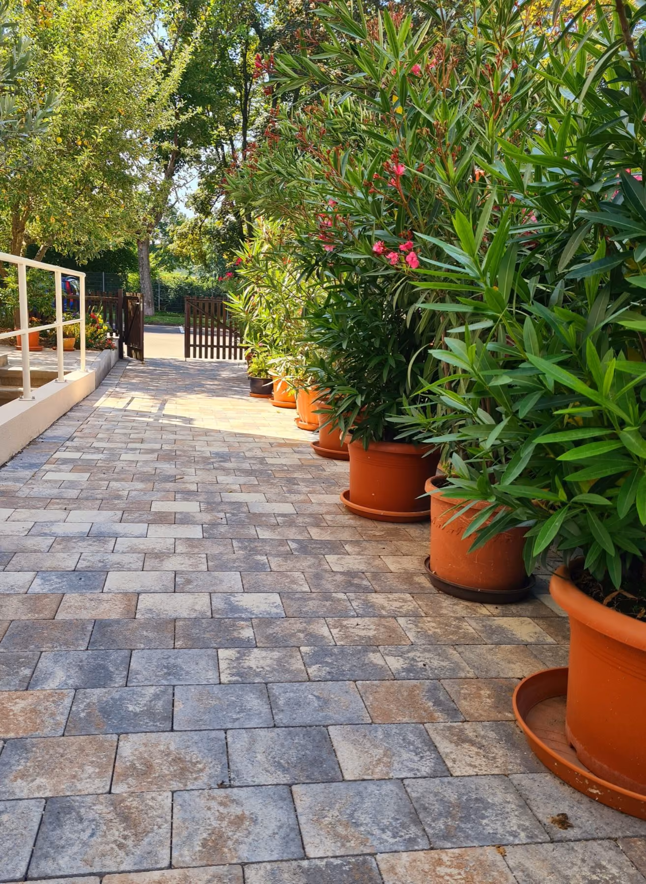 Terrasse aus mehrfarbigem Betonpflaster mit bepflanzten Tontöpfen entlang der Hauswand
