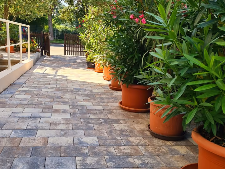 Terrasse aus mehrfarbigem Betonpflaster mit bepflanzten Tontöpfen entlang der Hauswand