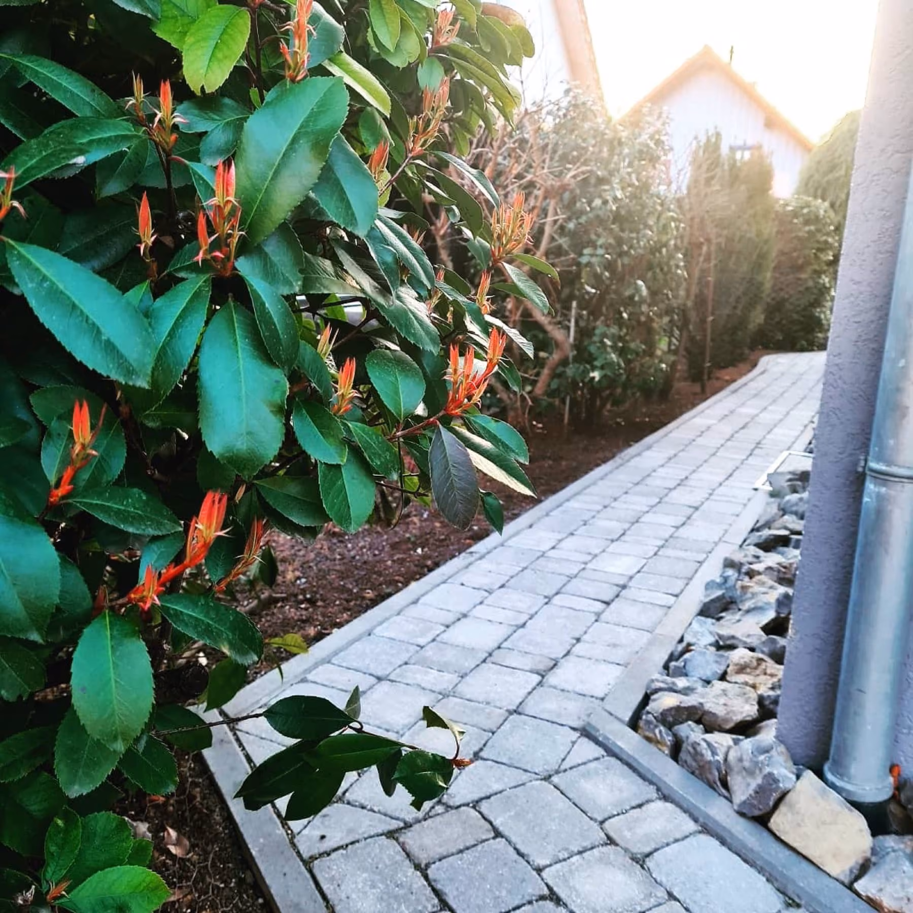 Gartenweg aus hellem Kleinpflaster mit Granit-Randstein und angrenzendem Kiesstreifen