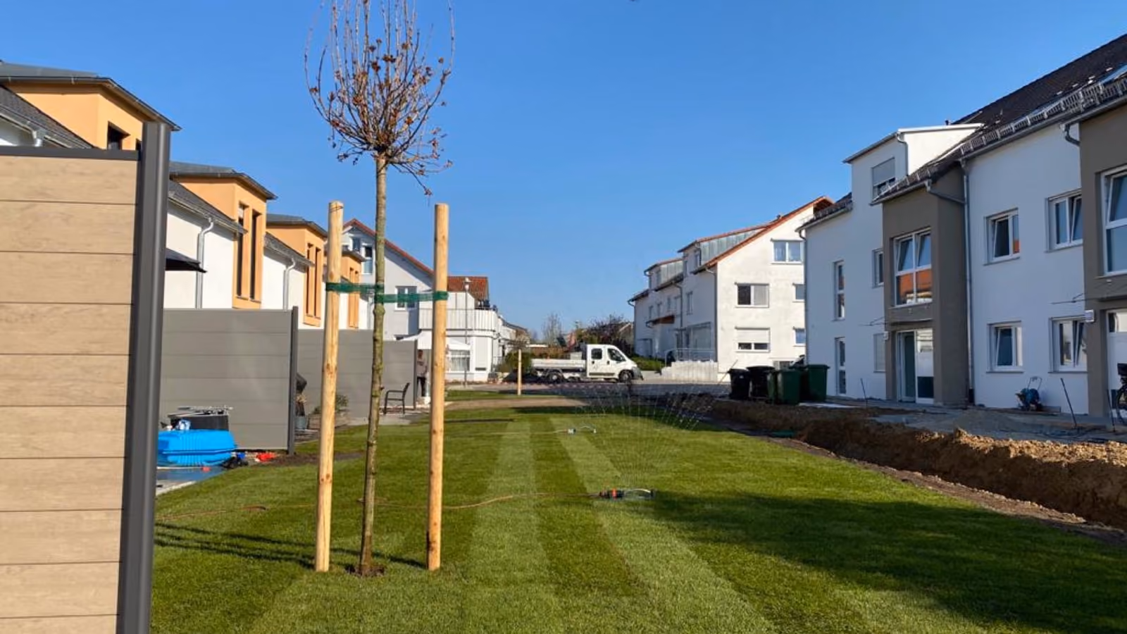 Frisch verlegter Rollrasen mit jungen Baumpflanzungen vor einer Wohnanlage