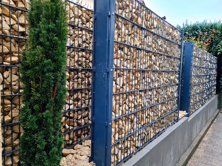 Mit Bruchstein gefüllte Gabionenwand, davor eine schmale Säulenkonifere